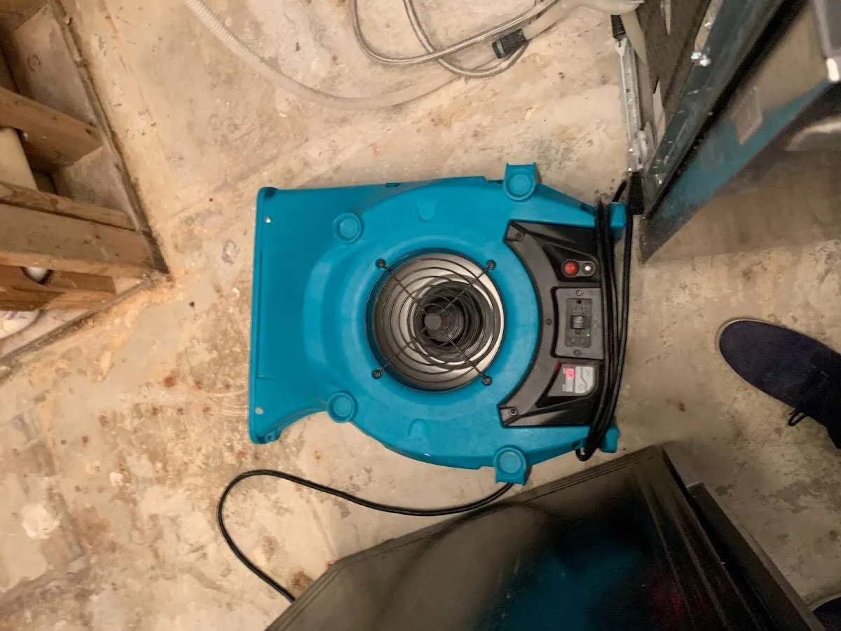 Air mover drying equipment for Mold Remediation & Removal in Nolensville