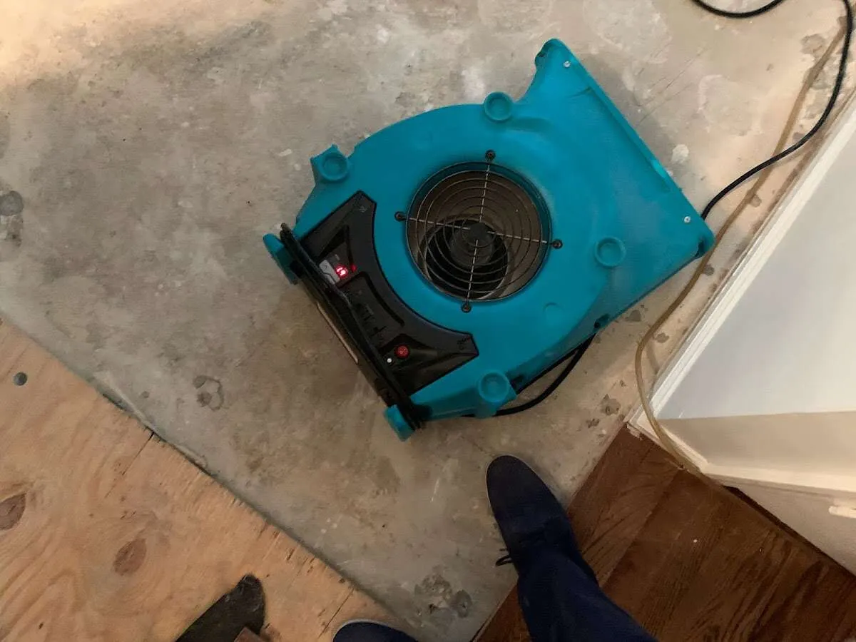 Air mover drying subfloor during Commercial Water Damage Restoration in Nolensville